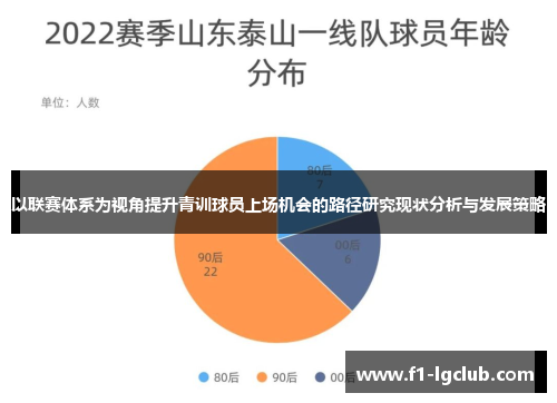 以联赛体系为视角提升青训球员上场机会的路径研究现状分析与发展策略 以联赛体系为视角提升青训球员上场机会的路径研究现状分析与发展策略